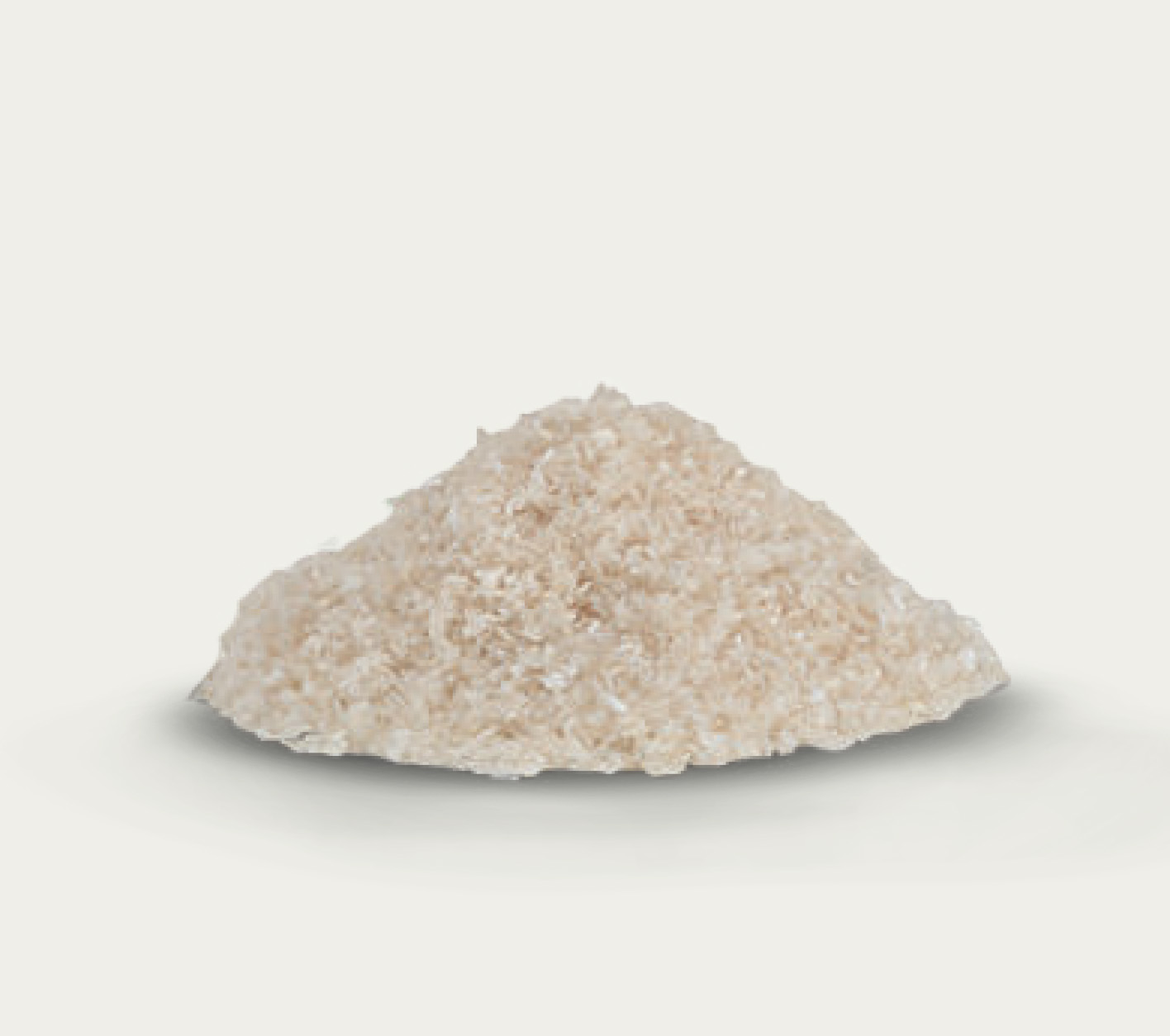 Powerbone Allograft - 2